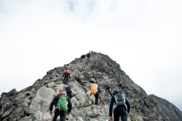 A group of people climbing up the side of a mountain.