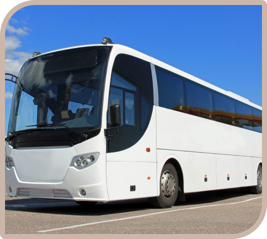 A white bus is parked on the side of the road.