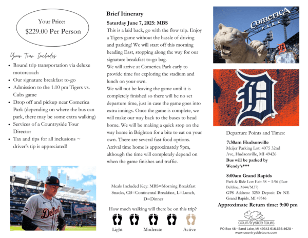 Detroit Tigers game day trip.