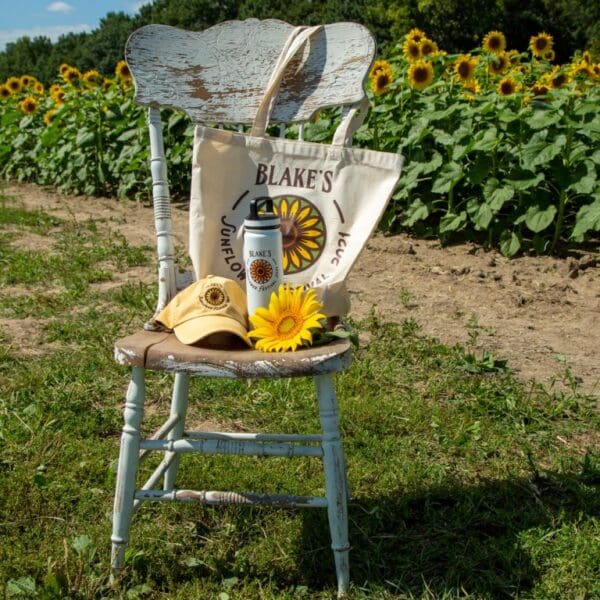 The Best of MI: Blake's Cider Mill - Sunflower Festival (August 22, 2025) - Image 4