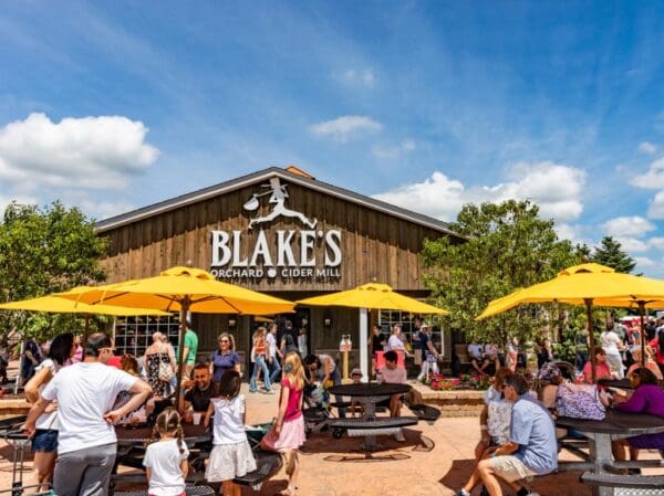 The Best of MI: Blake's Cider Mill - Sunflower Festival (August 22, 2025) - Image 2