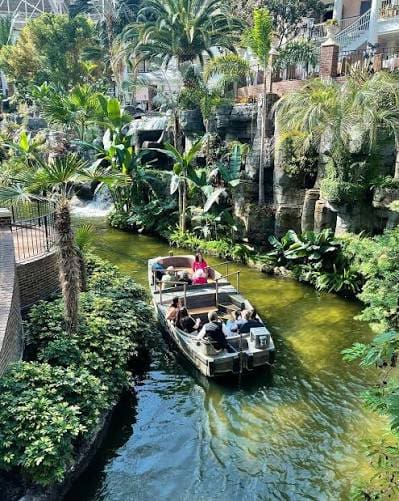 Country Christmas~Gaylord Opryland Resort, Nashville (December 8-11, 2027) - Image 2